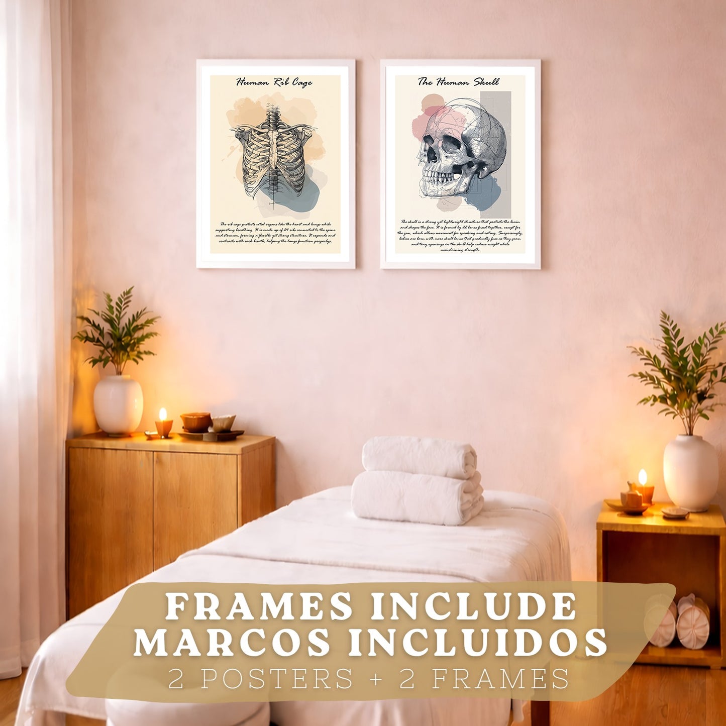 Set 2 Posters de Anatomía Humana Láminas Educativas de Esqueleto Costillas y Cráneo Decoración Clínica Oficina