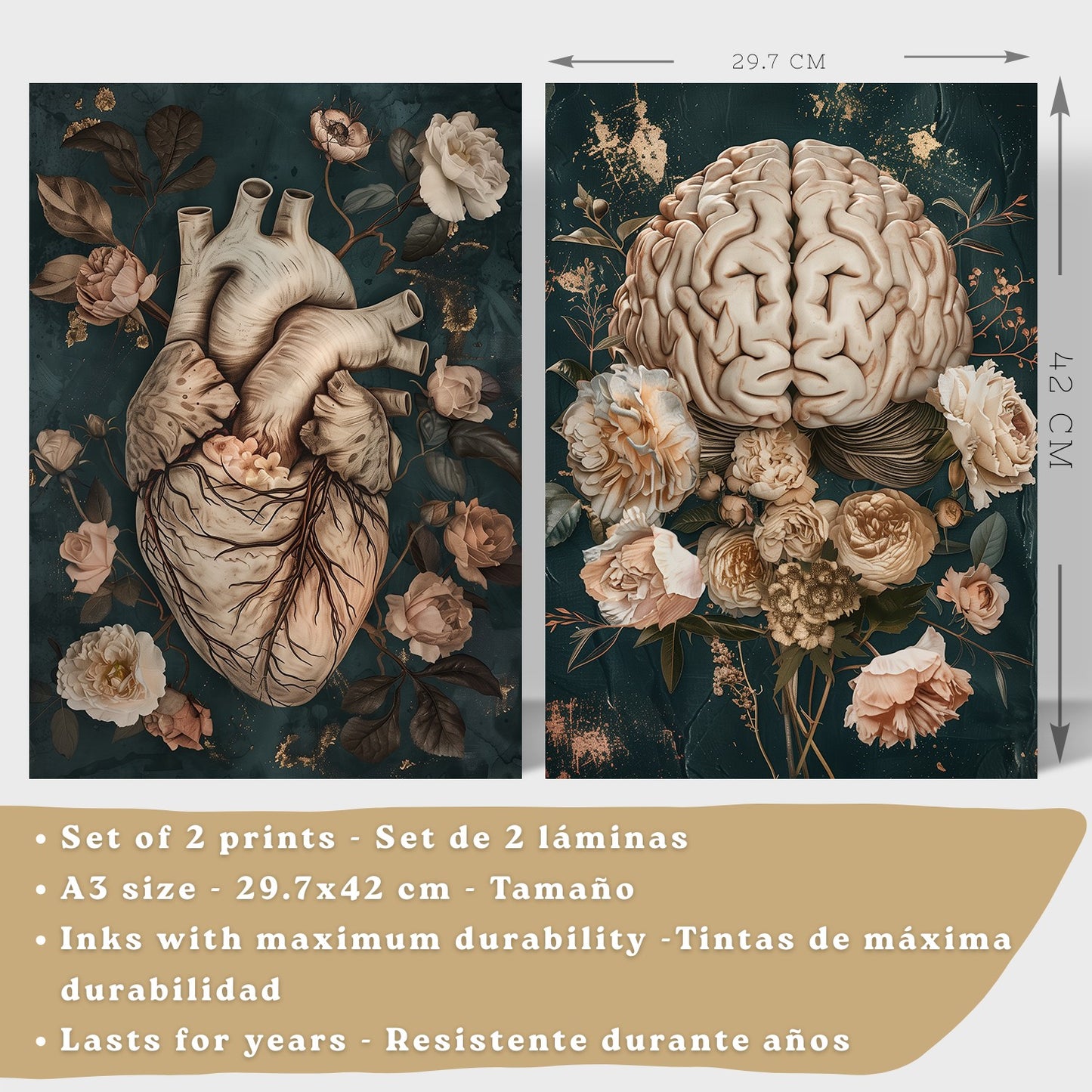 Set 2 Cuadros Decorativos de Anatomía Humana Láminas y Posters con Corazón y Cerebro Ilustración Floral Sofisticada Fondo Verde