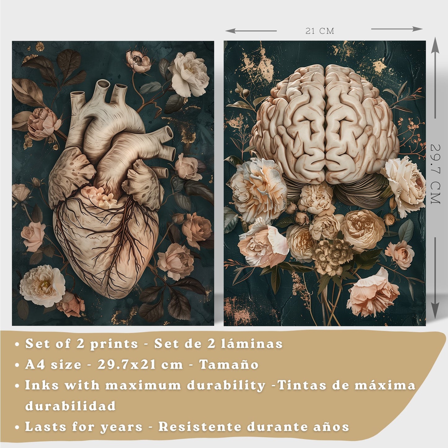 Set 2 Cuadros Decorativos de Anatomía Humana Láminas y Posters con Corazón y Cerebro Ilustración Floral Sofisticada Fondo Verde
