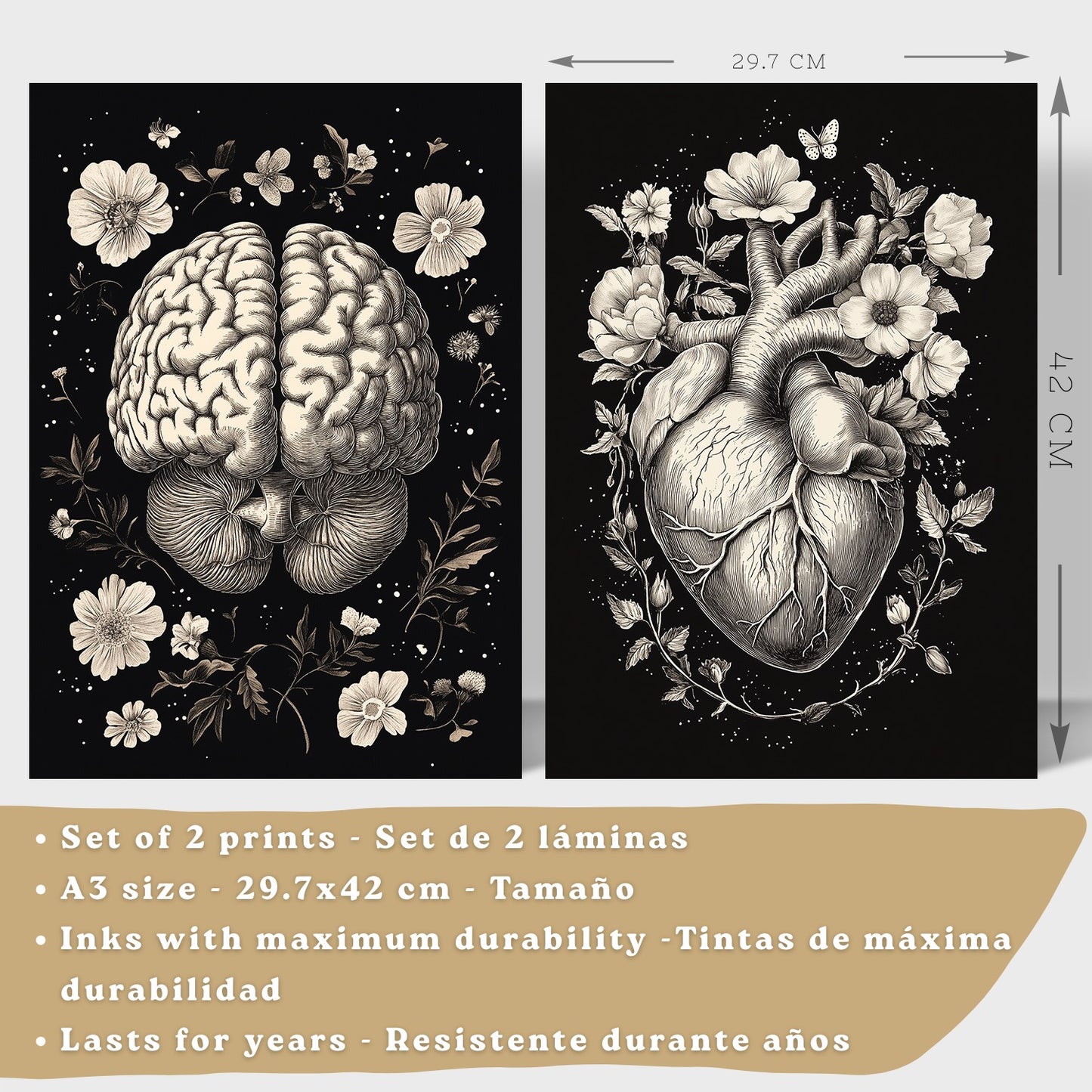Set 2 Posters y Cuadros de Anatomía Humana Láminas con Cerebro y Corazón Diseño Monocromo Floral Fondo Negro Decoración Moderna
