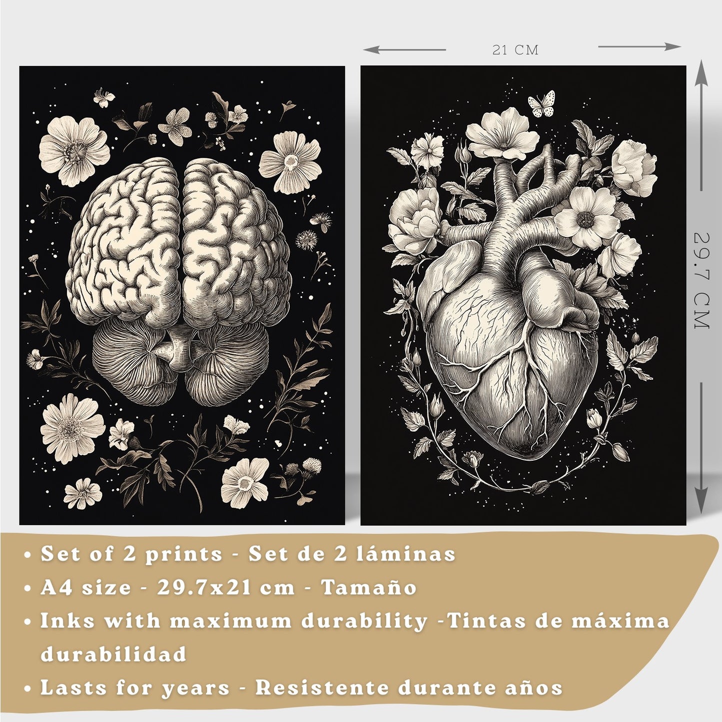 Set 2 Posters y Cuadros de Anatomía Humana Láminas con Cerebro y Corazón Diseño Monocromo Floral Fondo Negro Decoración Moderna