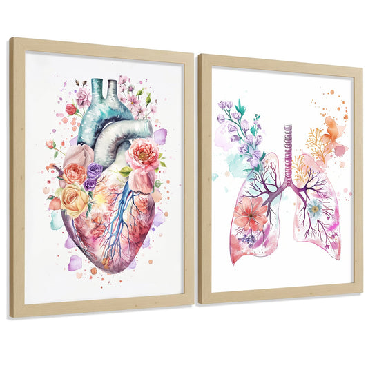 Set 2 Cuadros de Anatomía Humana Láminas con Corazón y Sistema Respiratorio Estilo Moderno Floral