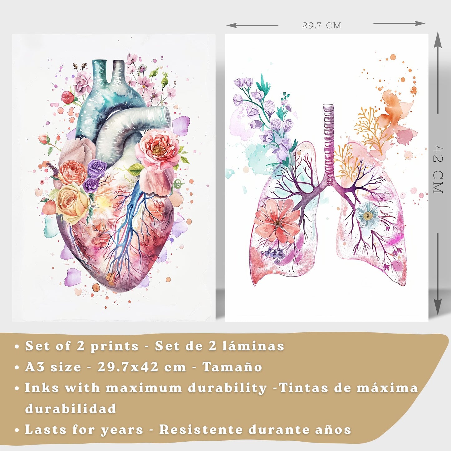 Set 2 Cuadros de Anatomía Humana Láminas con Corazón y Sistema Respiratorio Estilo Moderno Floral
