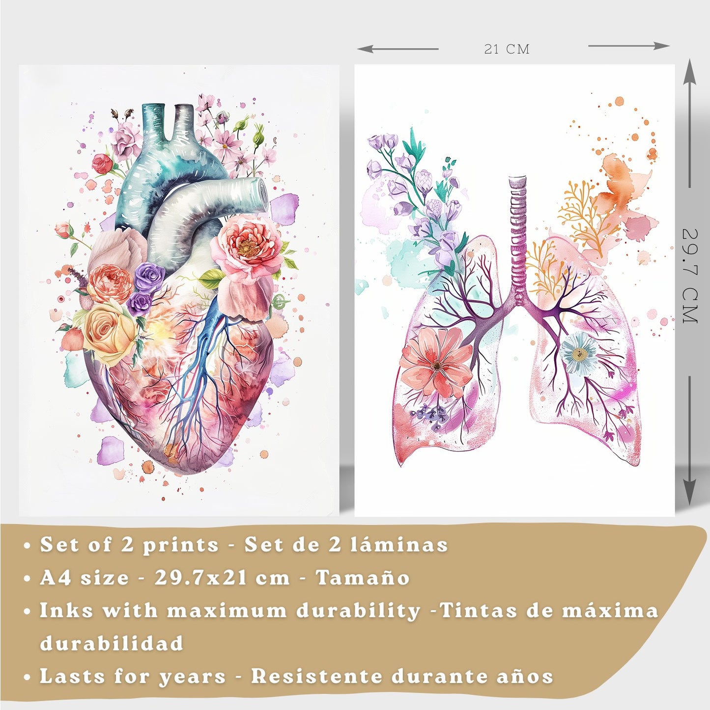 Set 2 Cuadros de Anatomía Humana Láminas con Corazón y Sistema Respiratorio Estilo Moderno Floral
