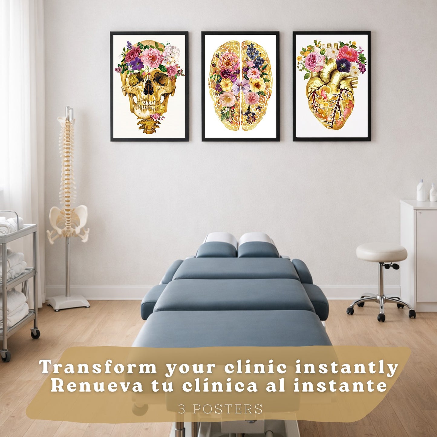 Set 3 Cuadros Decorativos de Anatomía Humana Láminas y Posters con Cráneo Cerebro y Corazón Ilustración Dorada Floral Diseño Artístico