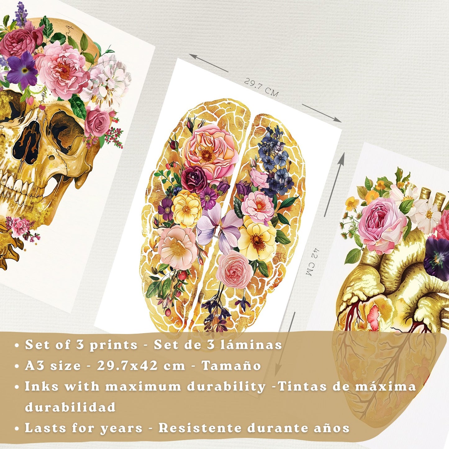 Set 3 Cuadros Decorativos de Anatomía Humana Láminas y Posters con Cráneo Cerebro y Corazón Ilustración Dorada Floral Diseño Artístico