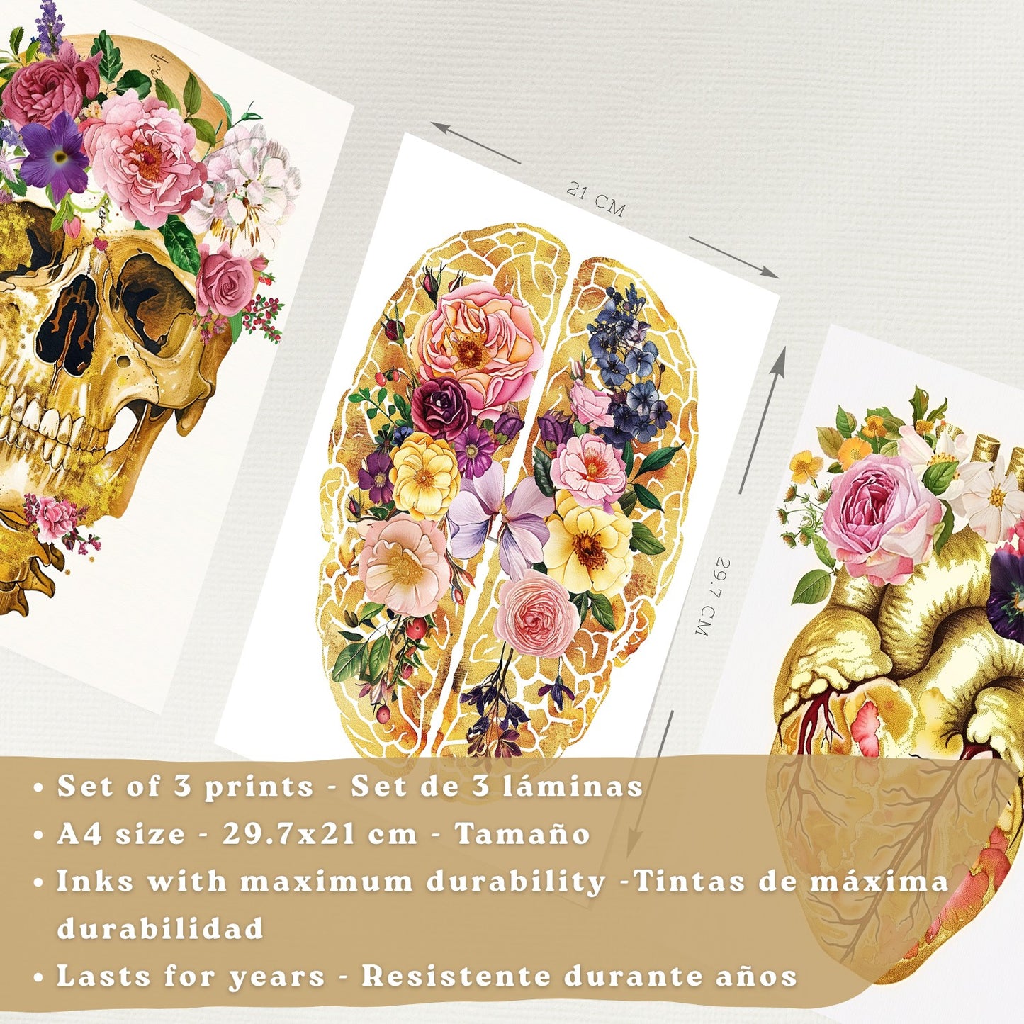 Set 3 Cuadros Decorativos de Anatomía Humana Láminas y Posters con Cráneo Cerebro y Corazón Ilustración Dorada Floral Diseño Artístico