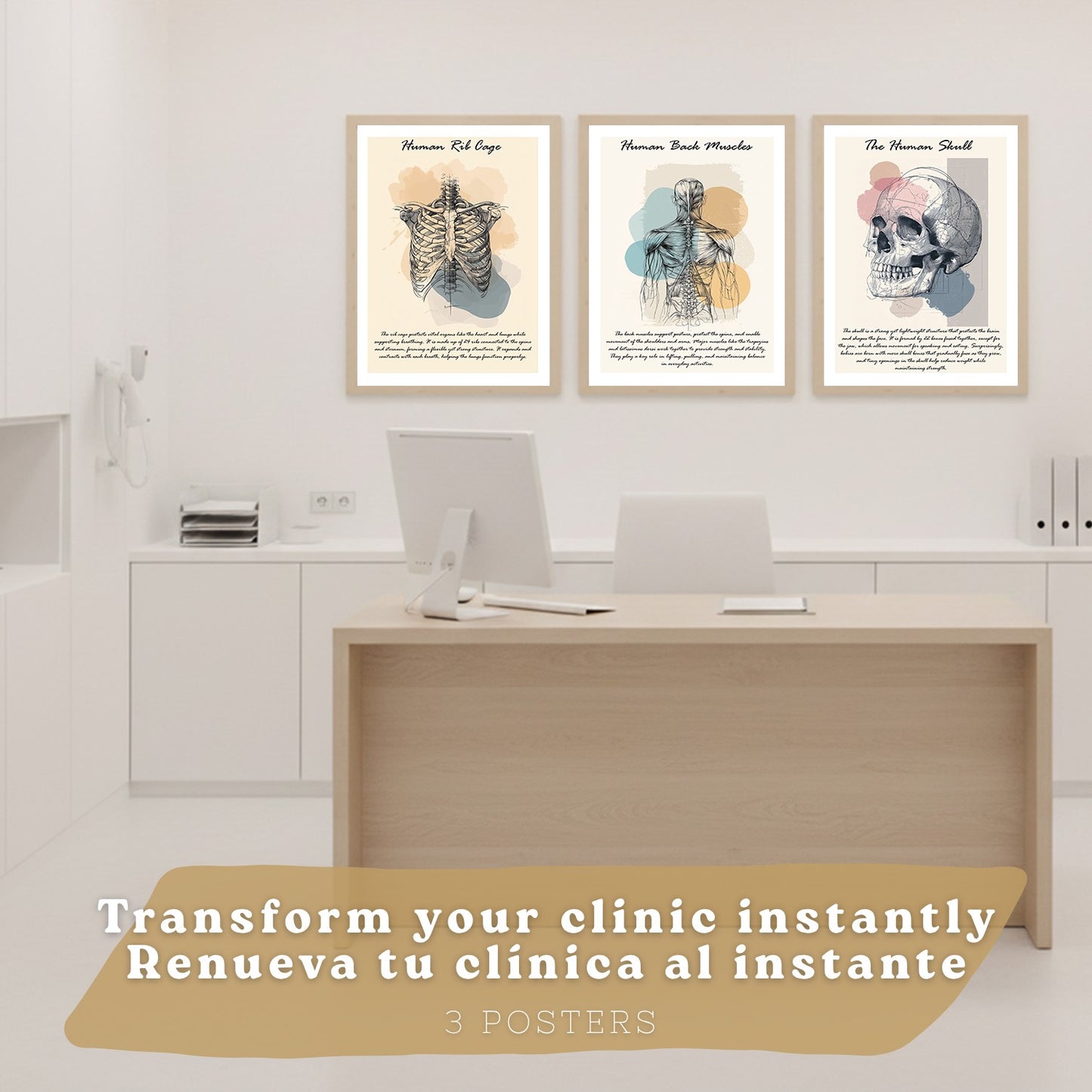 Set 3 Cuadros Decoración para Pared Anatomía Humana Posters Educativos Músculos Espalda Caja Torácica Cráneo