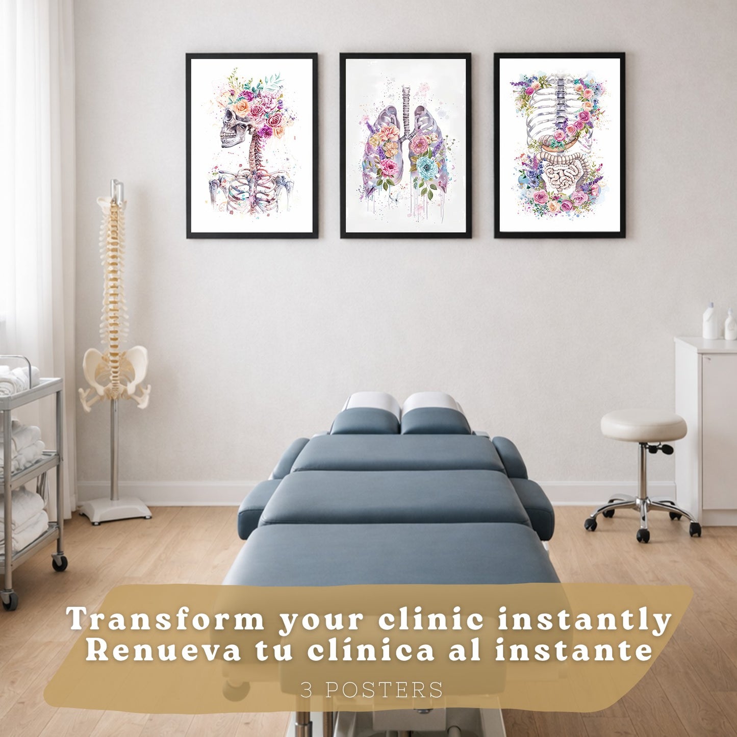 Set 3 Láminas Decorativas de Anatomía Posters y Cuadros con Esqueleto Cráneo Columna Costillas Pulmones y Sistema Digestivo con Estilo Floral Artístico