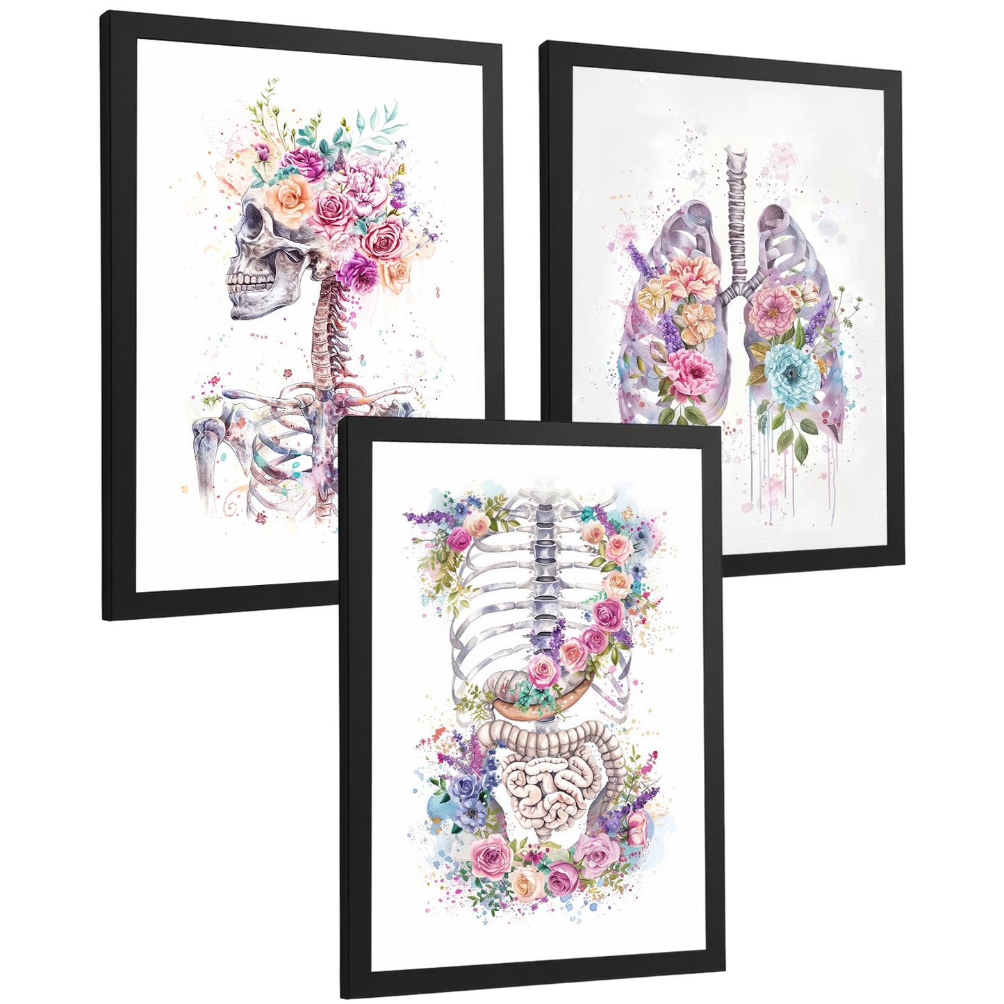 Set 3 Láminas Decorativas de Anatomía Posters y Cuadros con Esqueleto Cráneo Columna Costillas Pulmones y Sistema Digestivo con Estilo Floral Artístico