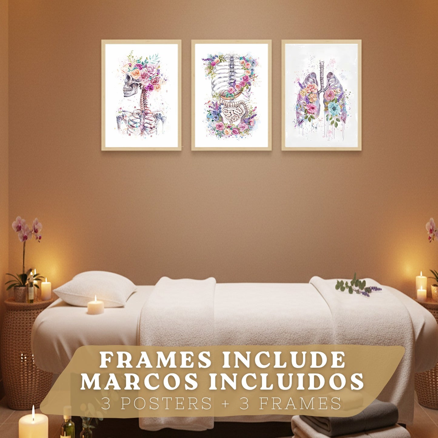 Set 3 Láminas Decorativas de Anatomía Posters y Cuadros con Esqueleto Cráneo Columna Costillas Pulmones y Sistema Digestivo con Estilo Floral Artístico