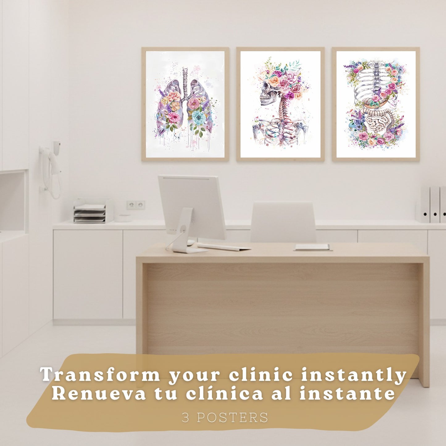 Set 3 Láminas Decorativas de Anatomía Posters y Cuadros con Esqueleto Cráneo Columna Costillas Pulmones y Sistema Digestivo con Estilo Floral Artístico