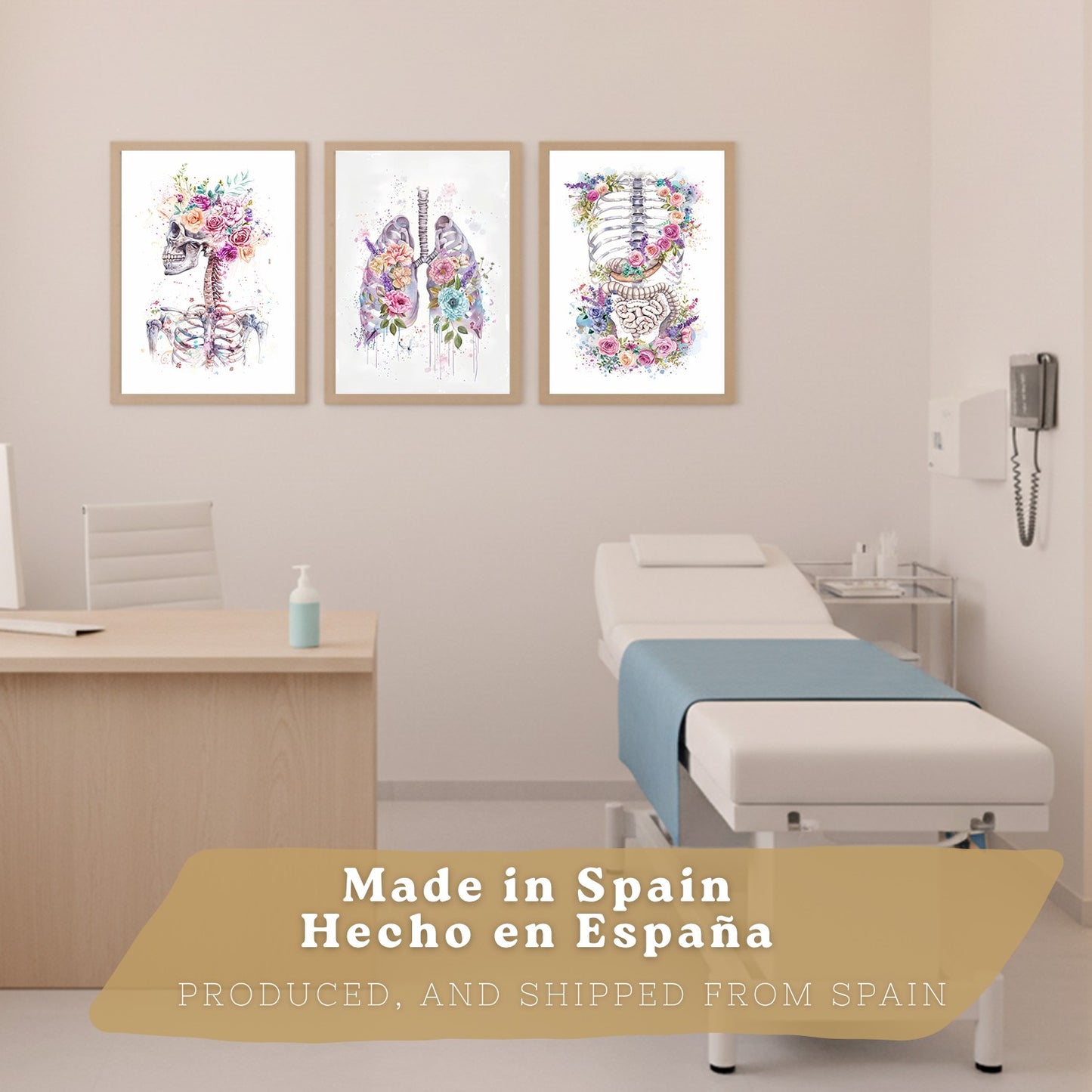 Set 3 Láminas Decorativas de Anatomía Posters y Cuadros con Esqueleto Cráneo Columna Costillas Pulmones y Sistema Digestivo con Estilo Floral Artístico