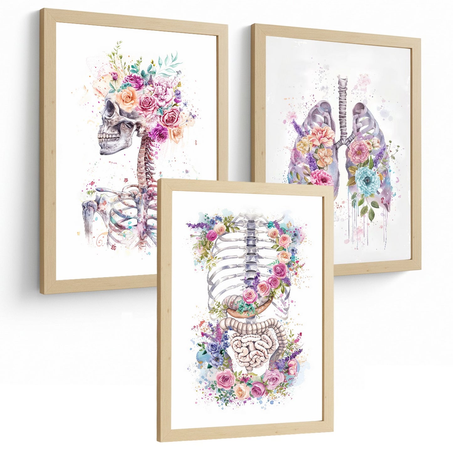 Set 3 Láminas Decorativas de Anatomía Posters y Cuadros con Esqueleto Cráneo Columna Costillas Pulmones y Sistema Digestivo con Estilo Floral Artístico