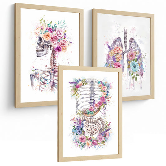 Set 3 Láminas Decorativas de Anatomía Posters y Cuadros con Esqueleto Cráneo Columna Costillas Pulmones y Sistema Digestivo con Estilo Floral Artístico