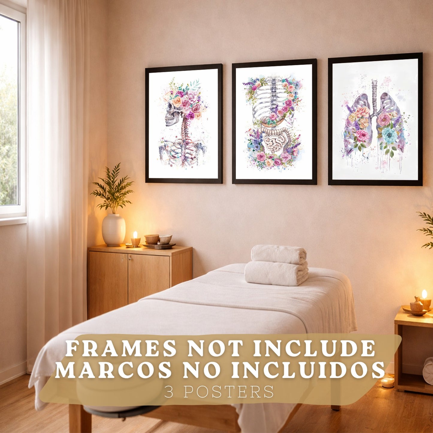 Set 3 Láminas Decorativas de Anatomía Posters y Cuadros con Esqueleto Cráneo Columna Costillas Pulmones y Sistema Digestivo con Estilo Floral Artístico