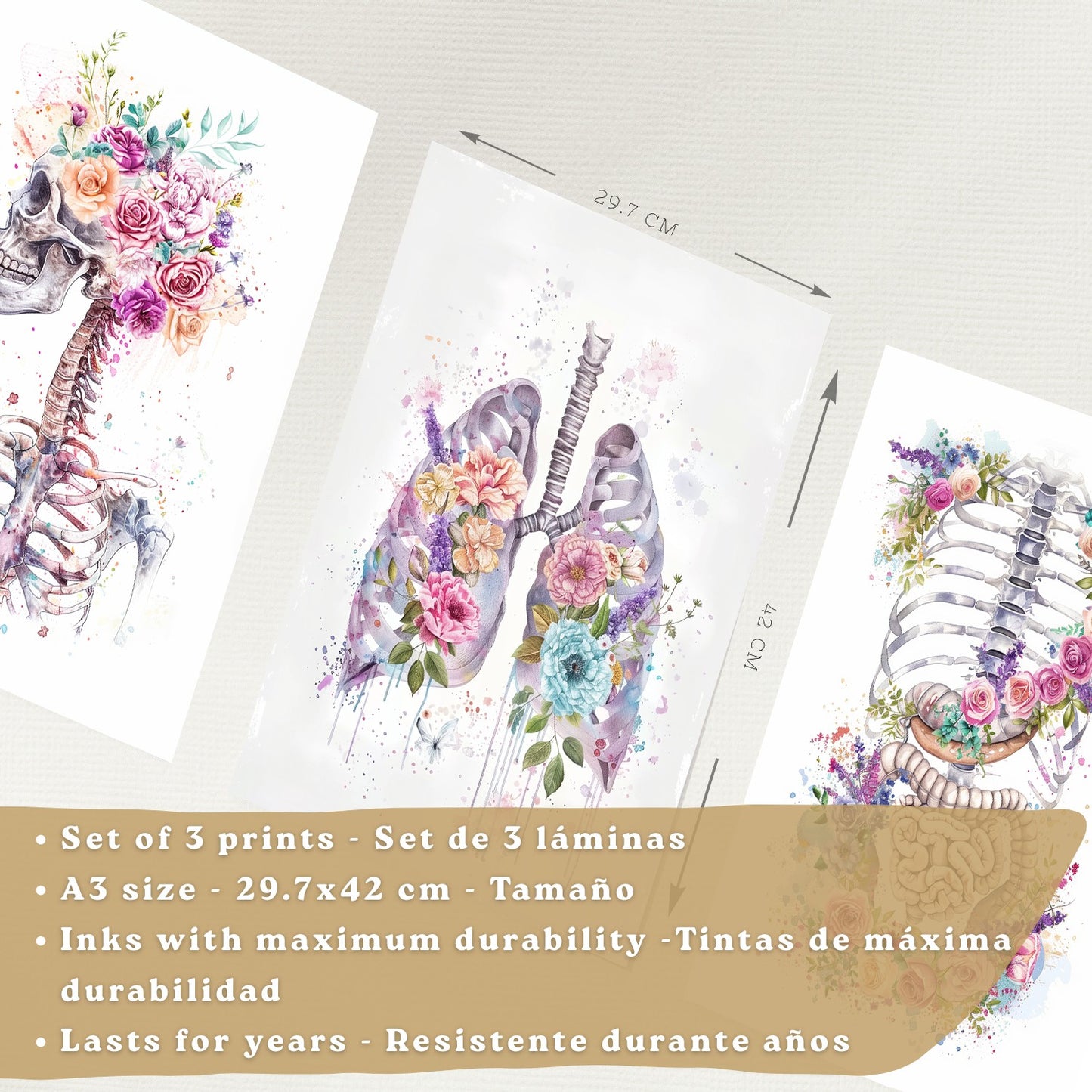 Set 3 Láminas Decorativas de Anatomía Posters y Cuadros con Esqueleto Cráneo Columna Costillas Pulmones y Sistema Digestivo con Estilo Floral Artístico