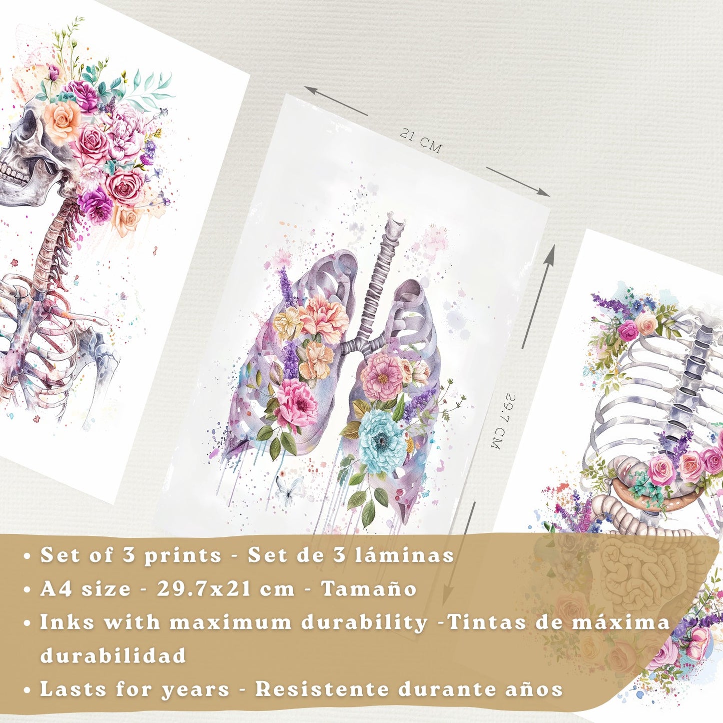 Set 3 Láminas Decorativas de Anatomía Posters y Cuadros con Esqueleto Cráneo Columna Costillas Pulmones y Sistema Digestivo con Estilo Floral Artístico