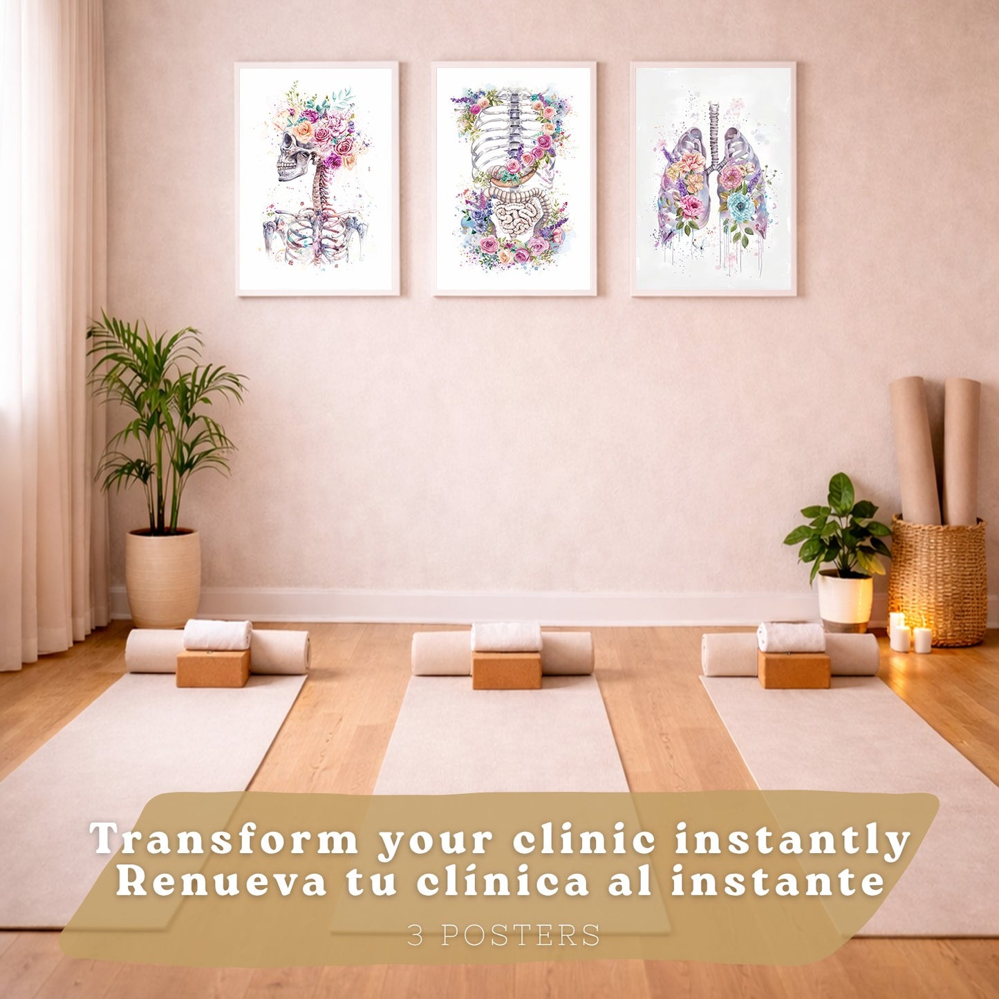 Set 3 Láminas Decorativas de Anatomía Posters y Cuadros con Esqueleto Cráneo Columna Costillas Pulmones y Sistema Digestivo con Estilo Floral Artístico