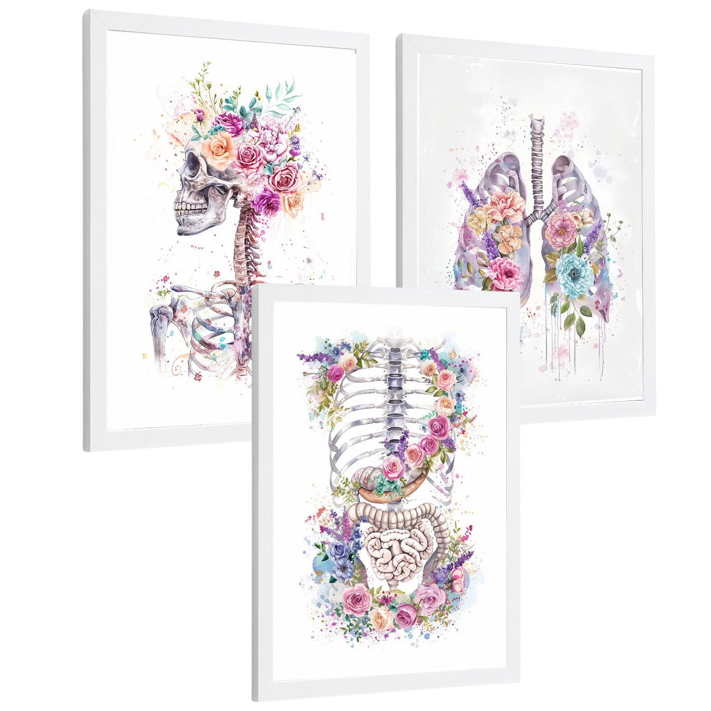 Set 3 Láminas Decorativas de Anatomía Posters y Cuadros con Esqueleto Cráneo Columna Costillas Pulmones y Sistema Digestivo con Estilo Floral Artístico
