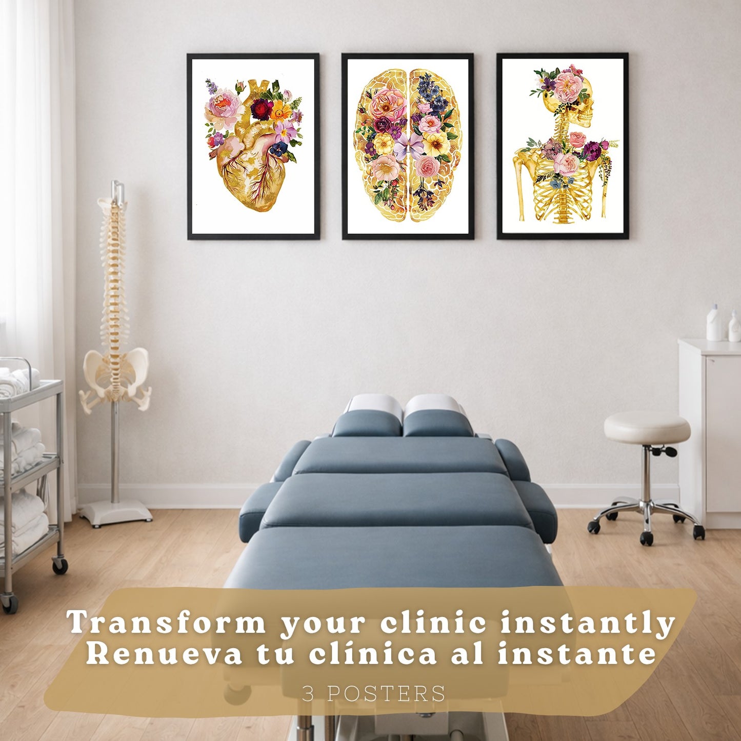 Set 3 Láminas de Anatomía Humana Posters y Cuadros con Corazón Cerebro y Esqueleto Diseño Floral Dorado Elegante