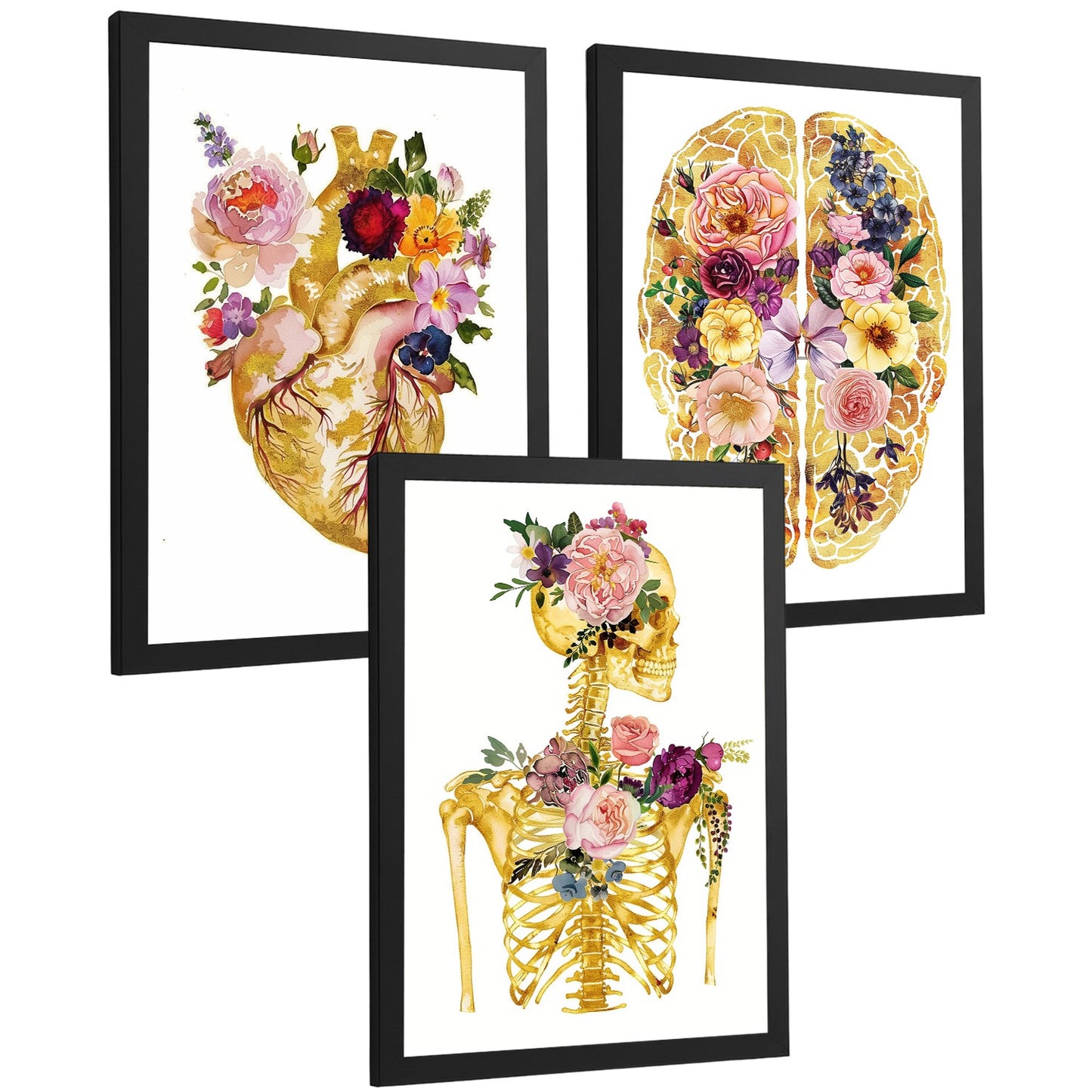 Set 3 Láminas de Anatomía Humana Posters y Cuadros con Corazón Cerebro y Esqueleto Diseño Floral Dorado Elegante