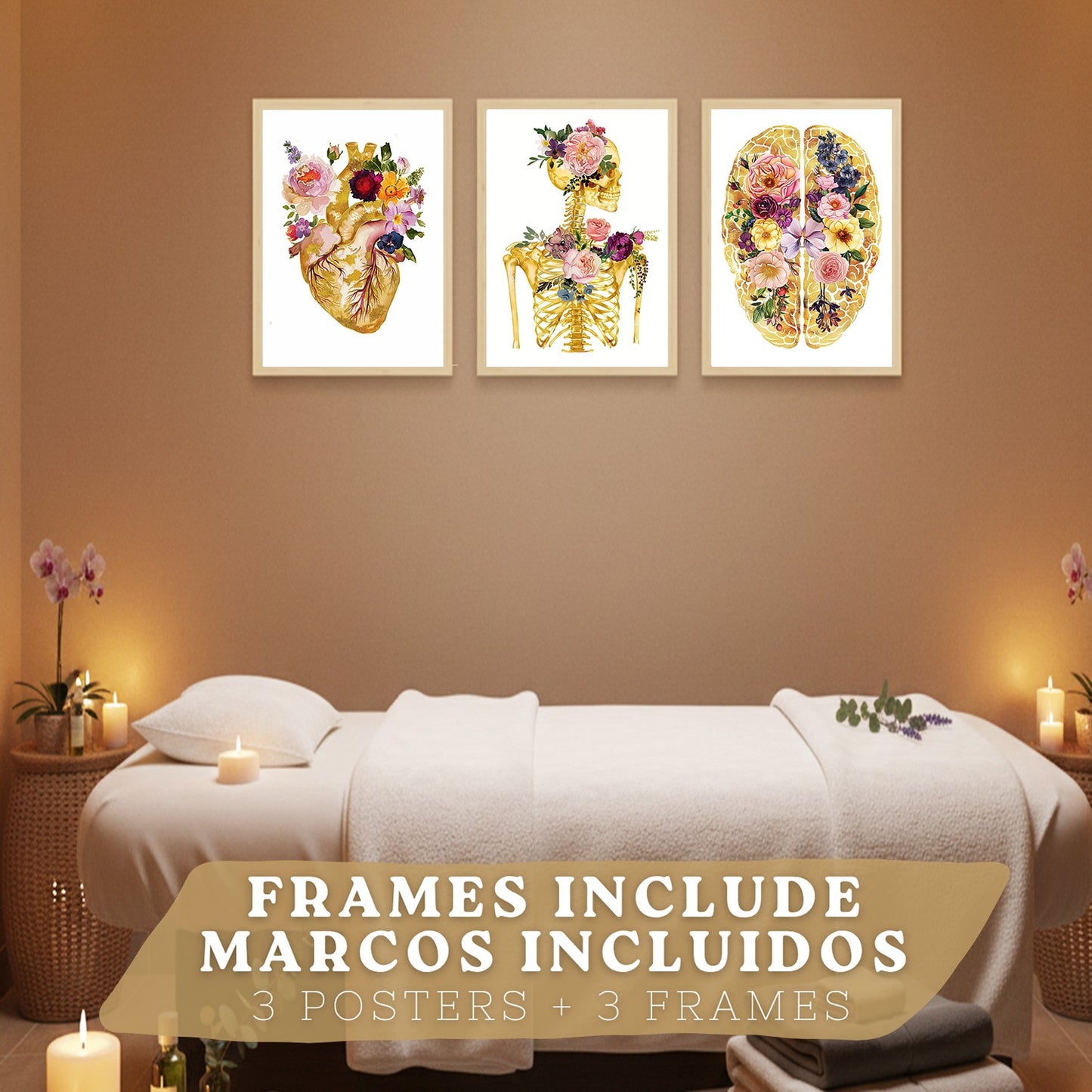 Set 3 Láminas de Anatomía Humana Posters y Cuadros con Corazón Cerebro y Esqueleto Diseño Floral Dorado Elegante