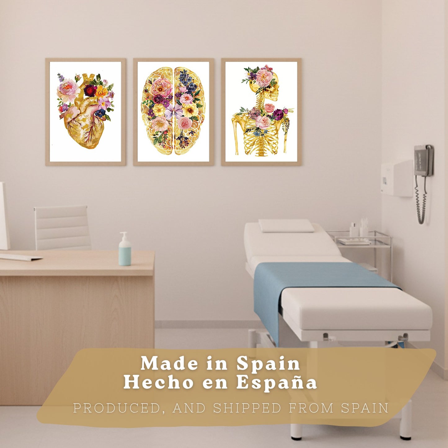 Set 3 Láminas de Anatomía Humana Posters y Cuadros con Corazón Cerebro y Esqueleto Diseño Floral Dorado Elegante