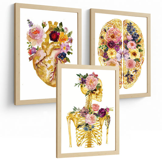 Set 3 Láminas de Anatomía Humana Posters y Cuadros con Corazón Cerebro y Esqueleto Diseño Floral Dorado Elegante