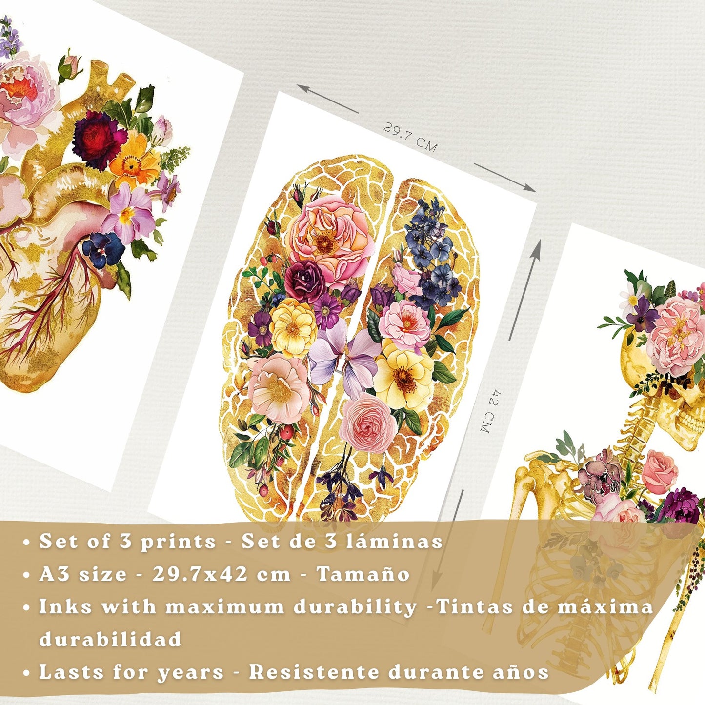 Set 3 Láminas de Anatomía Humana Posters y Cuadros con Corazón Cerebro y Esqueleto Diseño Floral Dorado Elegante