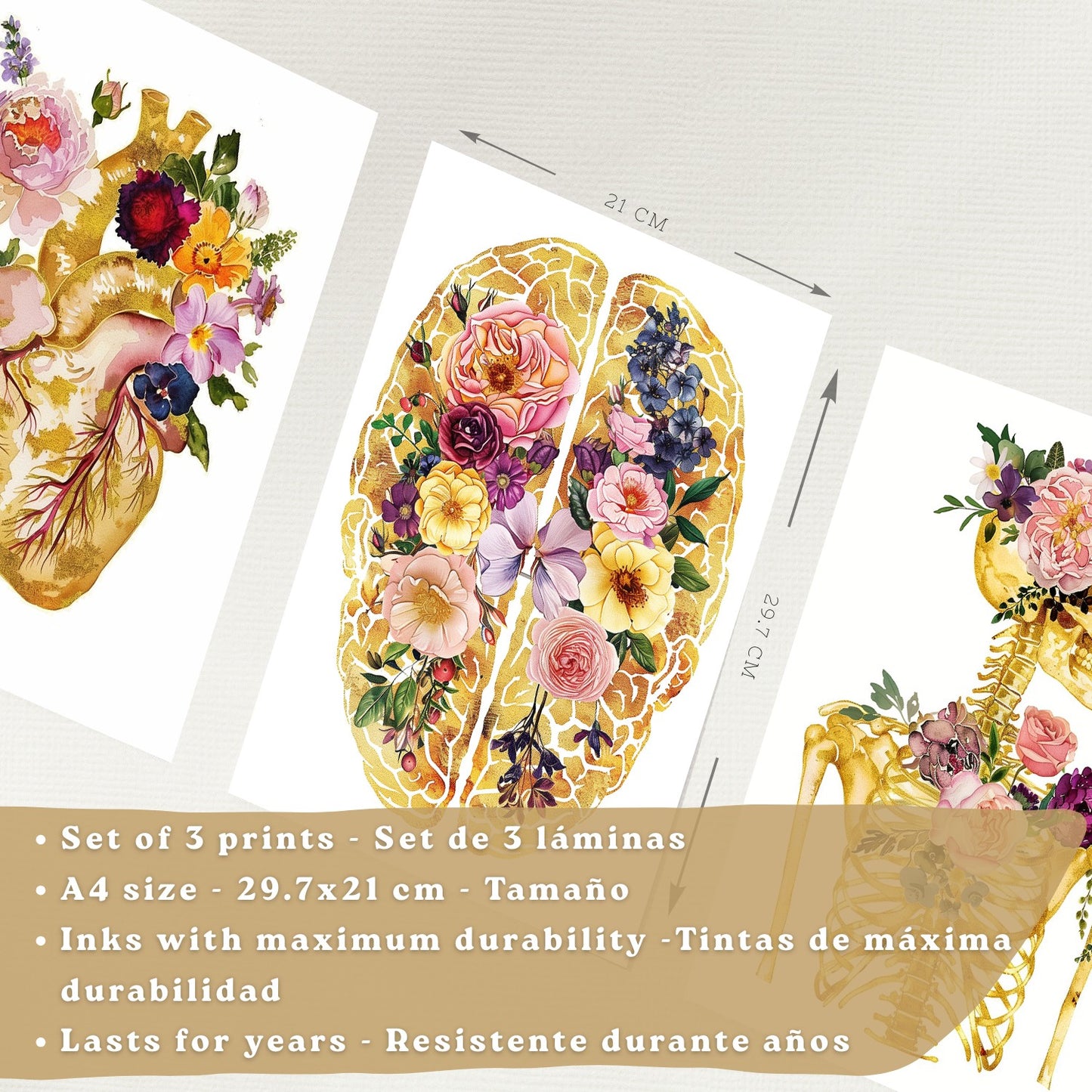 Set 3 Láminas de Anatomía Humana Posters y Cuadros con Corazón Cerebro y Esqueleto Diseño Floral Dorado Elegante