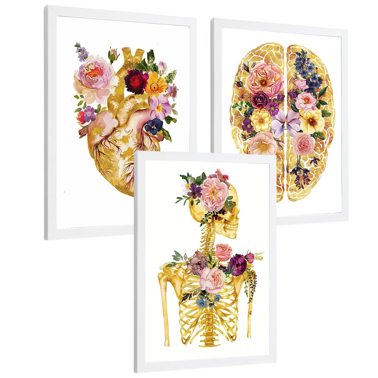 Set 3 Láminas de Anatomía Humana Posters y Cuadros con Corazón Cerebro y Esqueleto Diseño Floral Dorado Elegante