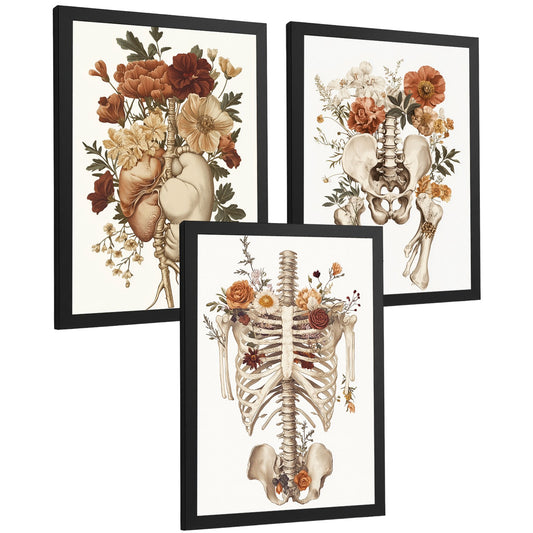 Set 3 Láminas Decoración para Pared Anatomía Humana Floral Vintage Posters de Corazón Caja Torácica y Pelvis Cuadros