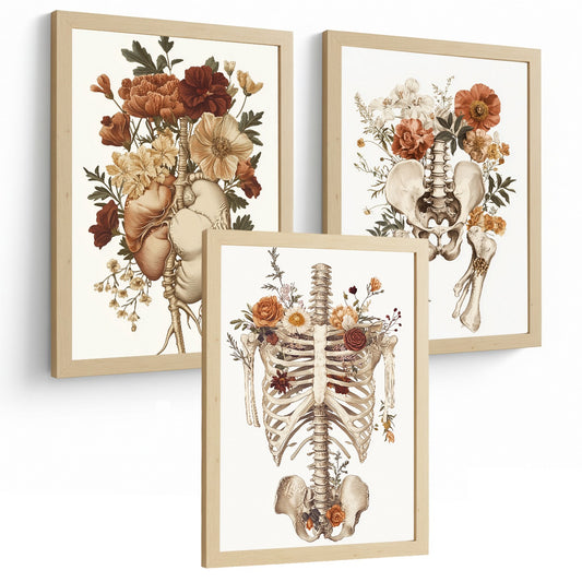 Set 3 Láminas Decoración para Pared Anatomía Humana Floral Vintage Posters de Corazón Caja Torácica y Pelvis Cuadros