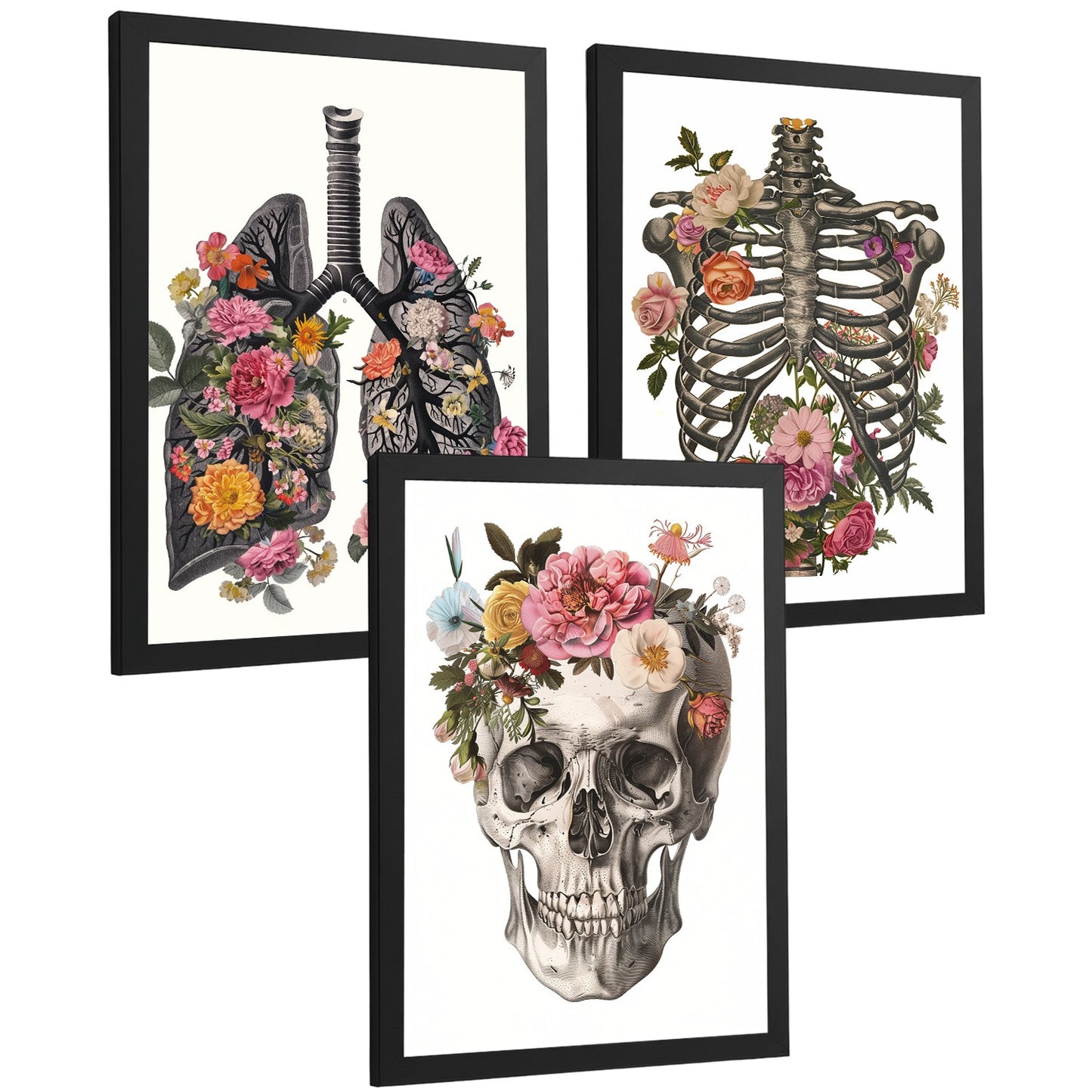 Set 3 Cuadros Decorativos de Anatomía Humana Láminas y Posters con Pulmones Tráquea Bronquios Costillas Columna Vertebral y Cráneo Diseño Floral Contemporáneo