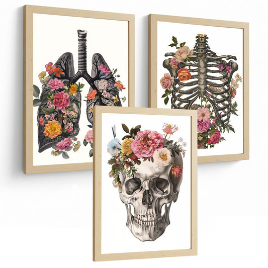 Set 3 Cuadros Decorativos de Anatomía Humana Láminas y Posters con Pulmones Tráquea Bronquios Costillas Columna Vertebral y Cráneo Diseño Floral Contemporáneo