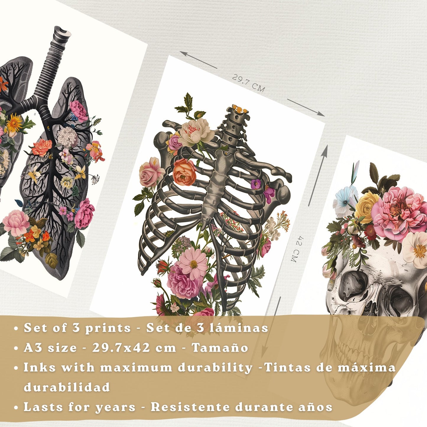 Set 3 Cuadros Decorativos de Anatomía Humana Láminas y Posters con Pulmones Tráquea Bronquios Costillas Columna Vertebral y Cráneo Diseño Floral Contemporáneo