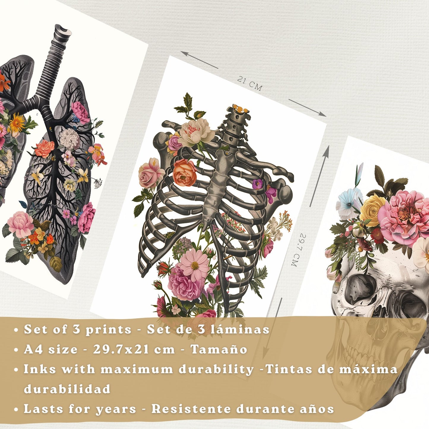 Set 3 Cuadros Decorativos de Anatomía Humana Láminas y Posters con Pulmones Tráquea Bronquios Costillas Columna Vertebral y Cráneo Diseño Floral Contemporáneo