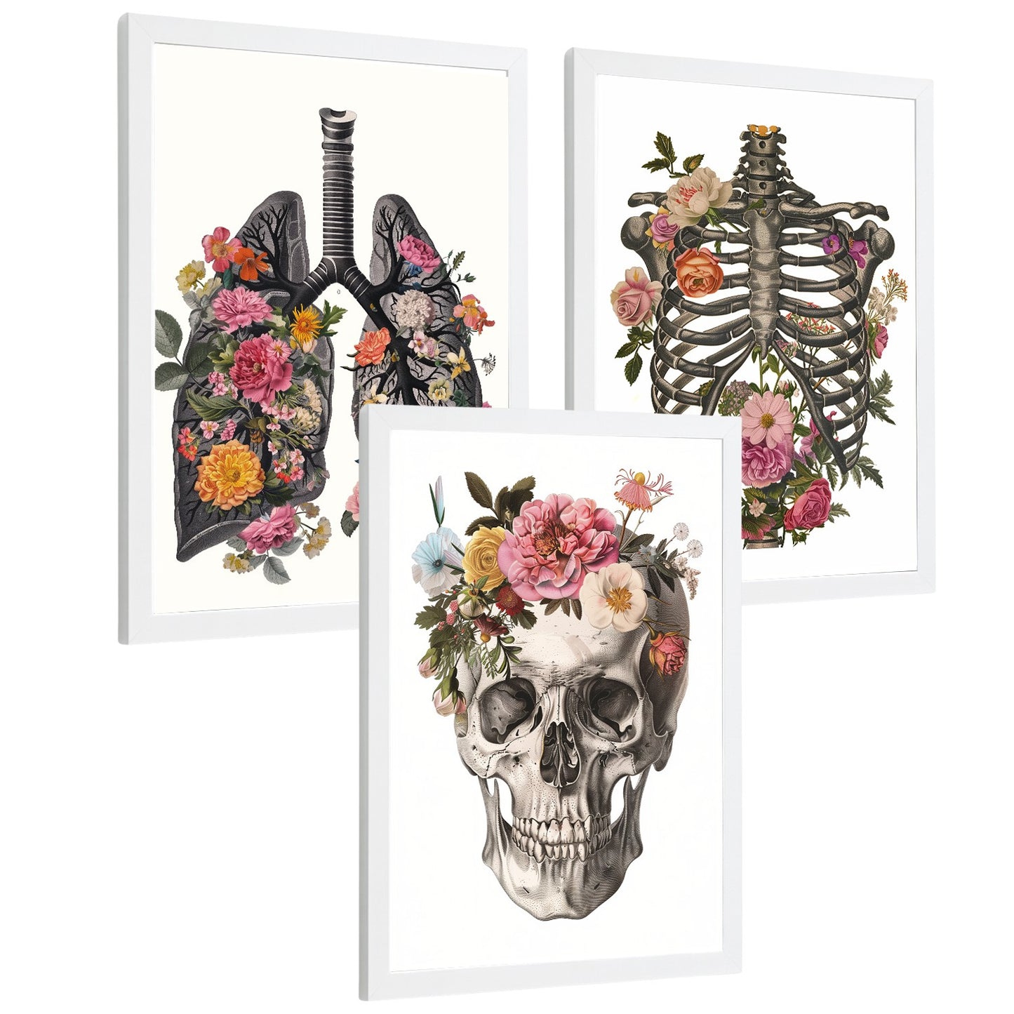 Set 3 Cuadros Decorativos de Anatomía Humana Láminas y Posters con Pulmones Tráquea Bronquios Costillas Columna Vertebral y Cráneo Diseño Floral Contemporáneo