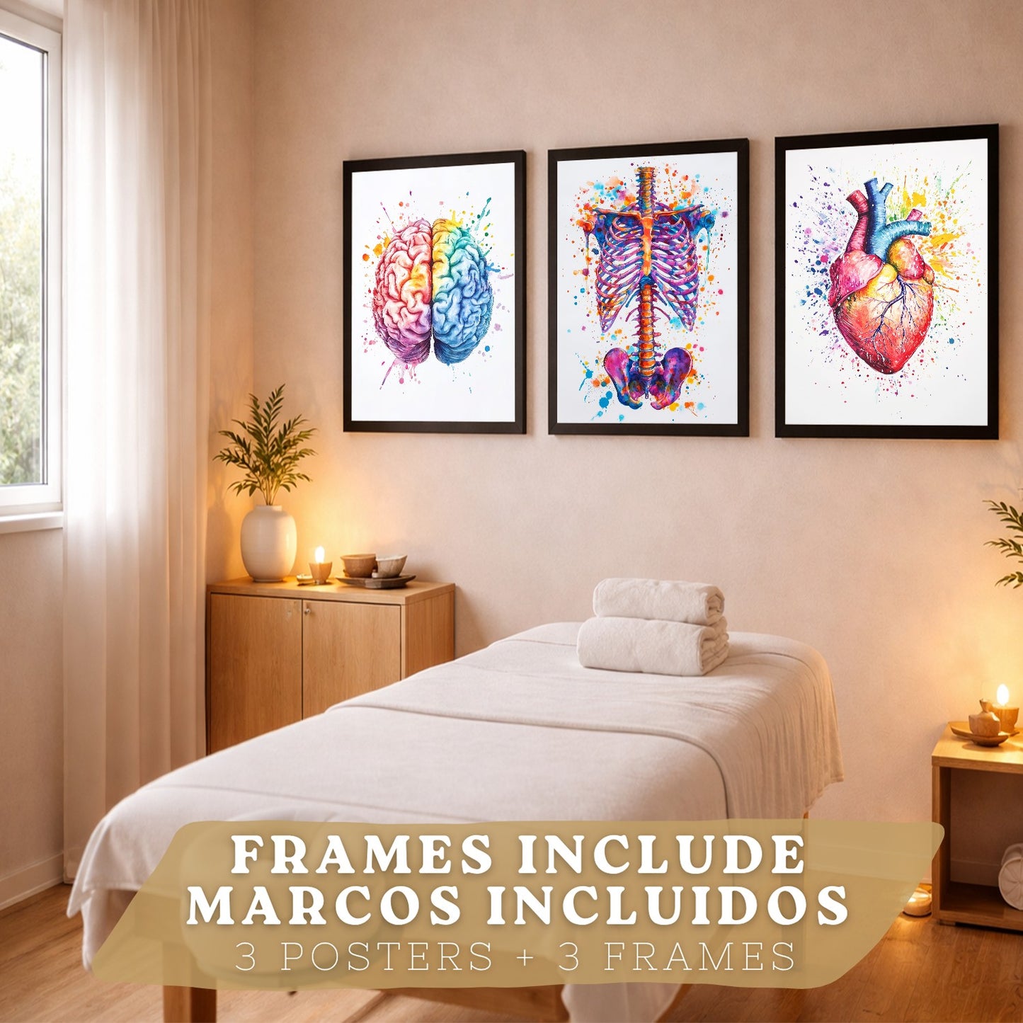 Set 3 Posters y Cuadros de Anatomía Humana Láminas con Cerebro Corazón Costillas Columna Vertebral Diseño Acuarela Vibrante