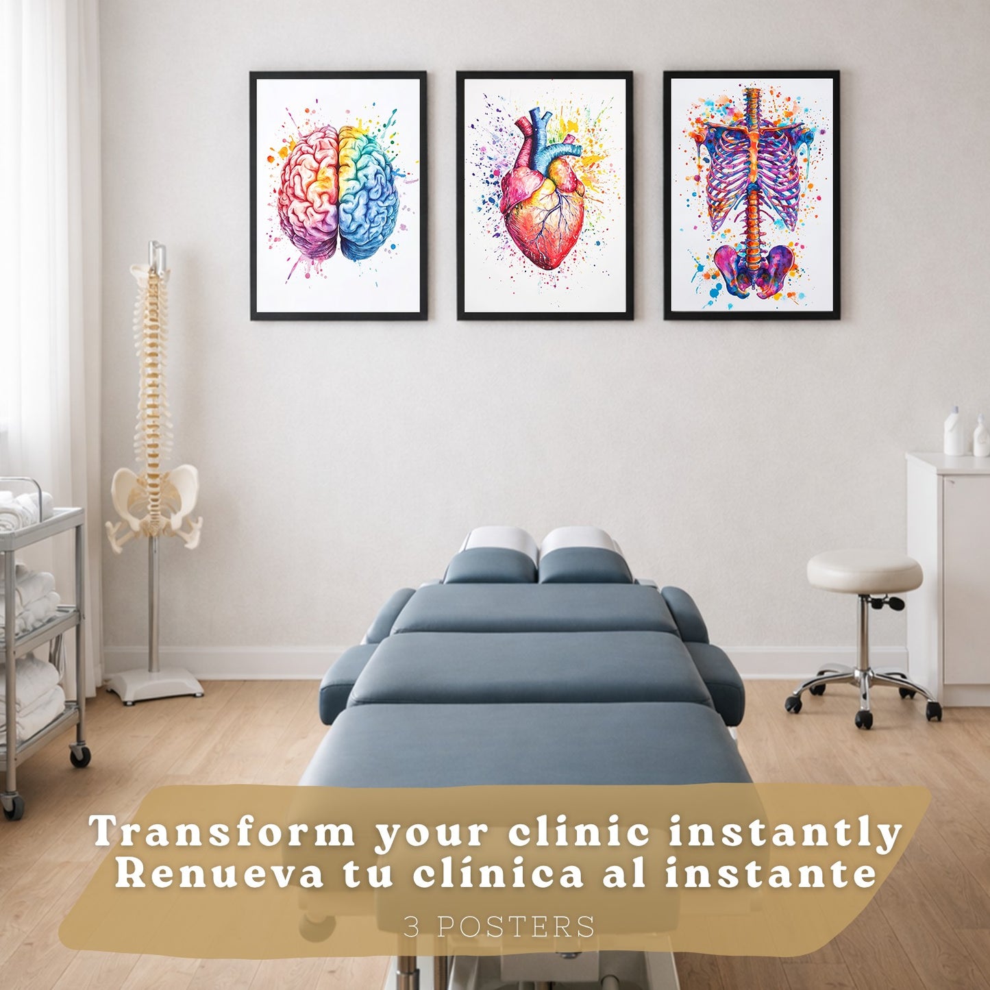 Set 3 Posters y Cuadros de Anatomía Humana Láminas con Cerebro Corazón Costillas Columna Vertebral Diseño Acuarela Vibrante