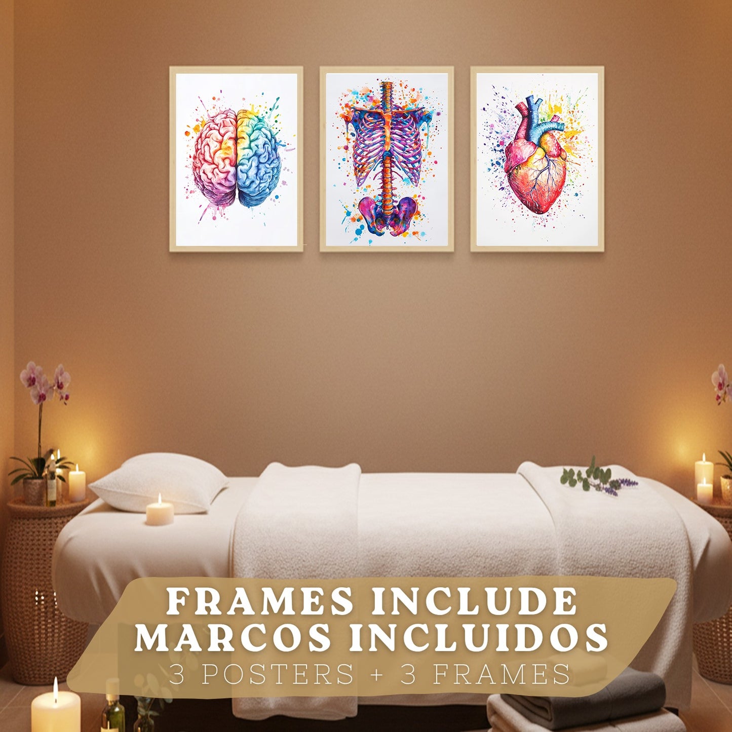Set 3 Posters y Cuadros de Anatomía Humana Láminas con Cerebro Corazón Costillas Columna Vertebral Diseño Acuarela Vibrante