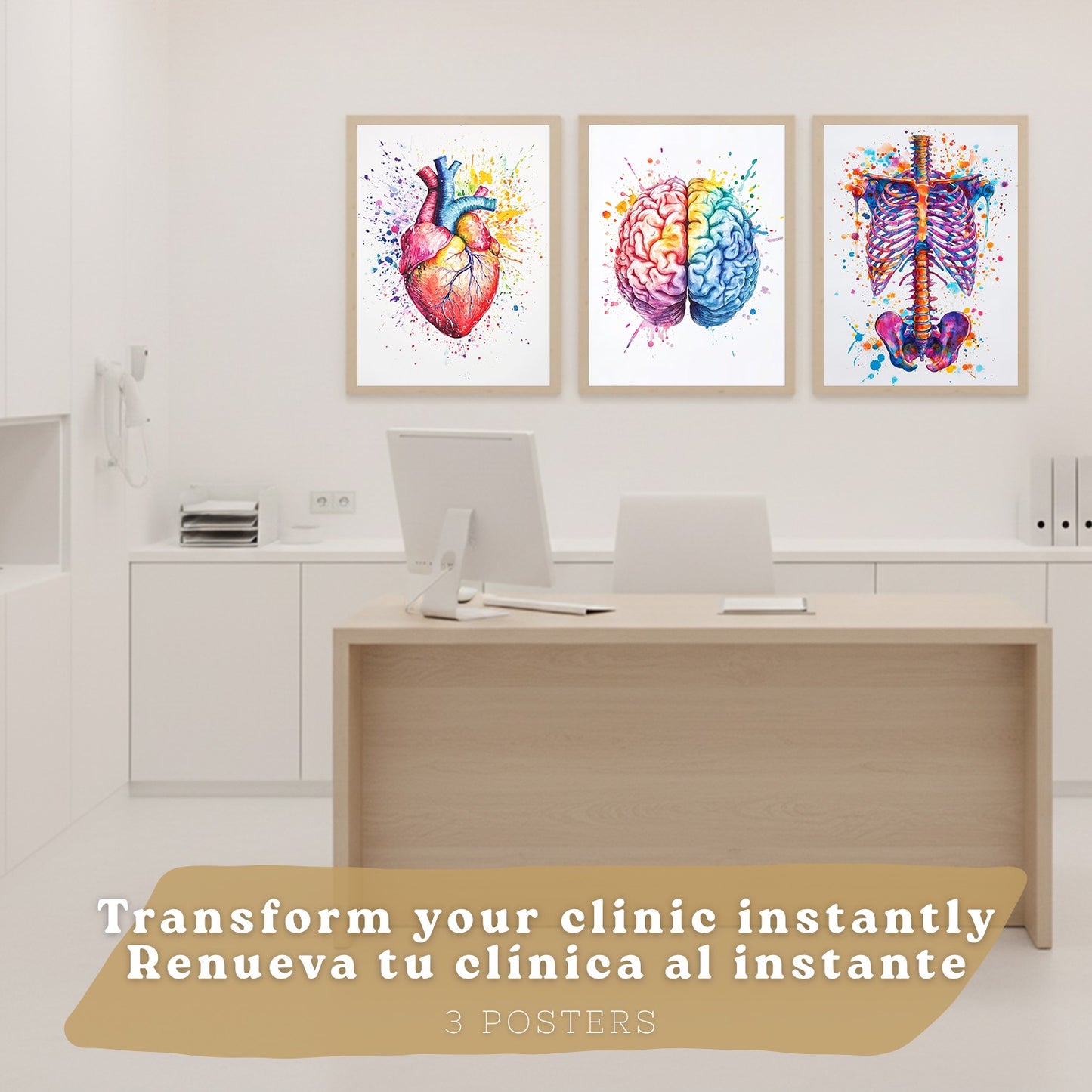 Set 3 Posters y Cuadros de Anatomía Humana Láminas con Cerebro Corazón Costillas Columna Vertebral Diseño Acuarela Vibrante