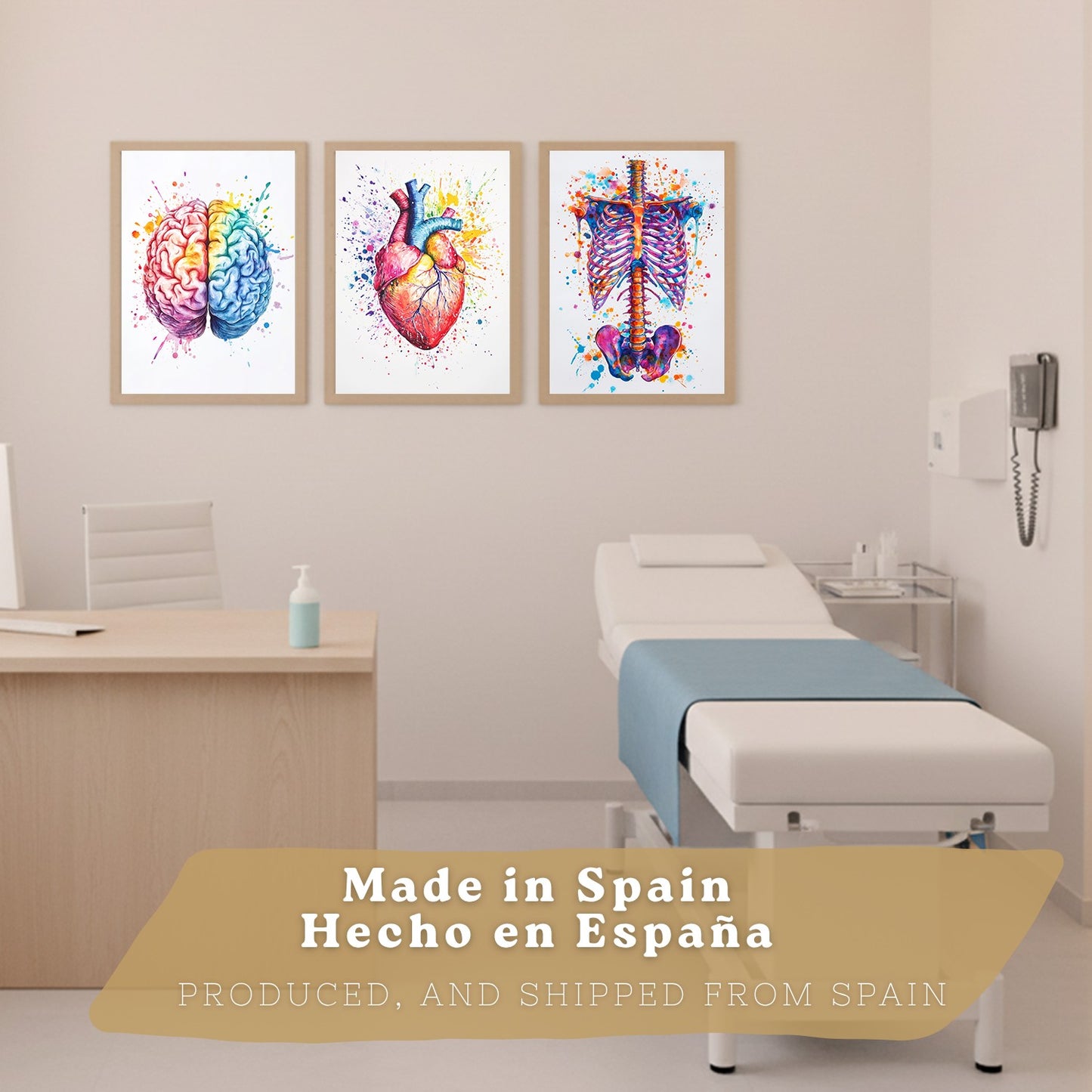 Set 3 Posters y Cuadros de Anatomía Humana Láminas con Cerebro Corazón Costillas Columna Vertebral Diseño Acuarela Vibrante