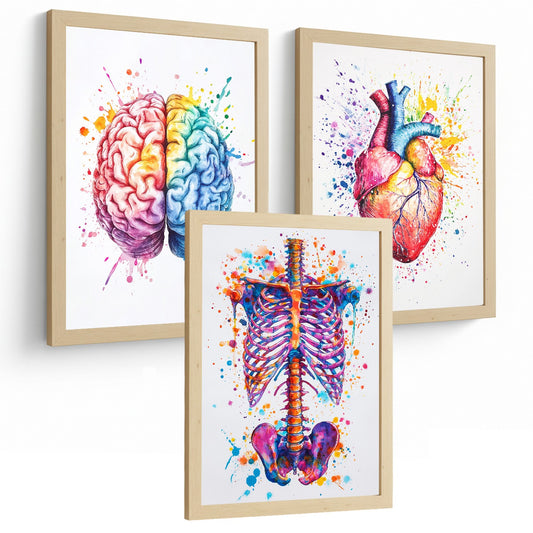 Set 3 Posters y Cuadros de Anatomía Humana Láminas con Cerebro Corazón Costillas Columna Vertebral Diseño Acuarela Vibrante