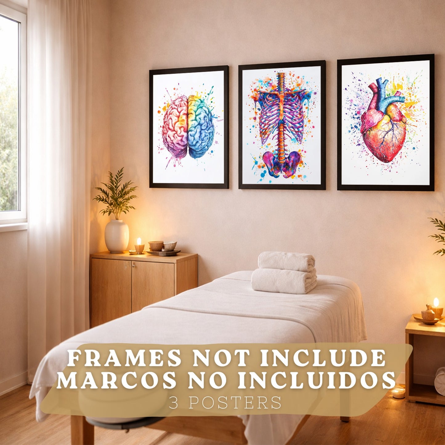 Set 3 Posters y Cuadros de Anatomía Humana Láminas con Cerebro Corazón Costillas Columna Vertebral Diseño Acuarela Vibrante
