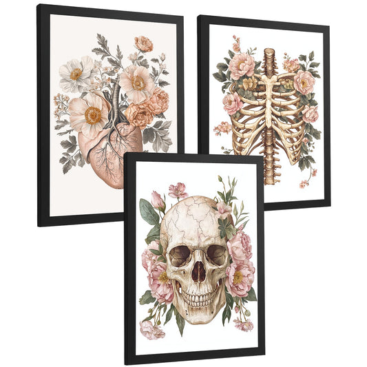 Set 3 Láminas Decoración para Pared Anatomía Humana Floral Cuadros de Corazón Cráneo y Caja Torácica Posters Estilo Vintage Suave