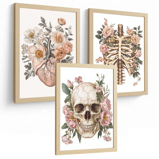 Set 3 Láminas Decoración para Pared Anatomía Humana Floral Cuadros de Corazón Cráneo y Caja Torácica Posters Estilo Vintage Suave