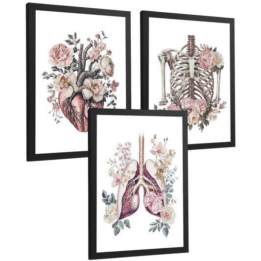 Set 3 Láminas Decoración para Pared Anatomía Floral Vintage Cuadros de Corazón Caja Torácica y Pulmones Estilo Ilustración Detallada