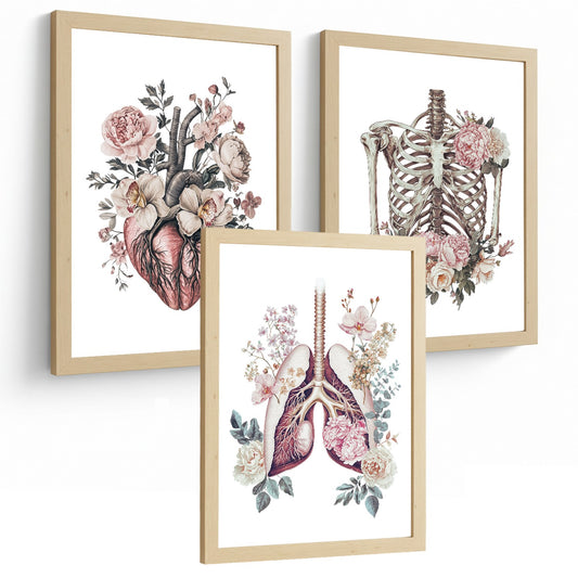 Set 3 Láminas Decoración para Pared Anatomía Floral Vintage Cuadros de Corazón Caja Torácica y Pulmones Estilo Ilustración Detallada